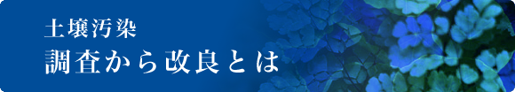 �y�뉘���@����������ǂƂ�