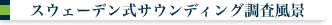 �X�E�F�[�f�����T�E���f�B���O�������i